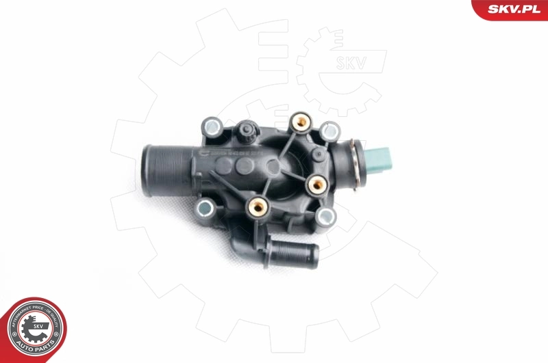 Thermostat, coolant